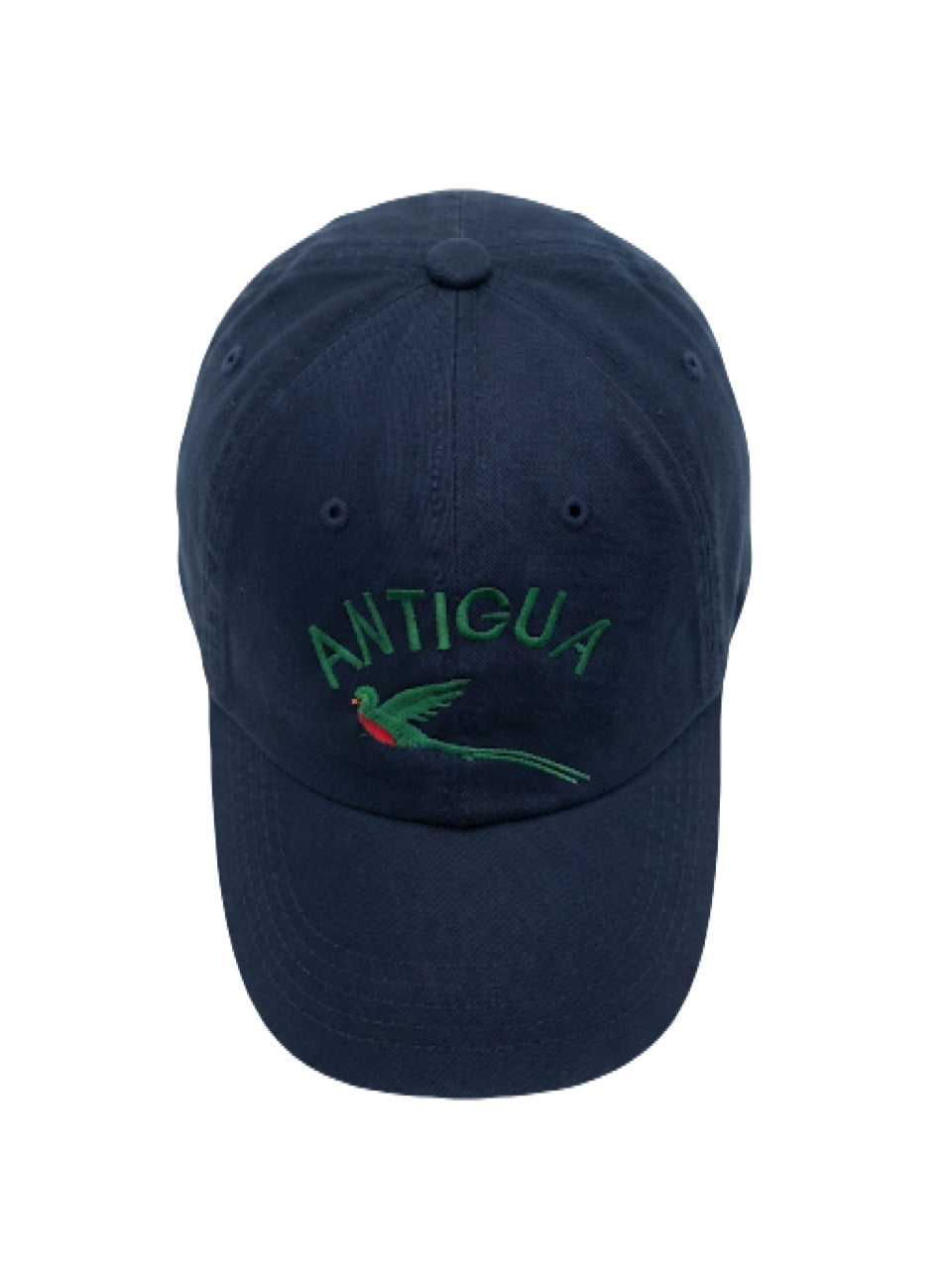 Gorra vintage Antigua Bird